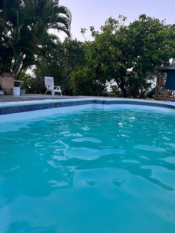 Jamaica Colors Hotel And Eco-Retreat Port Antonio Ngoại thất bức ảnh