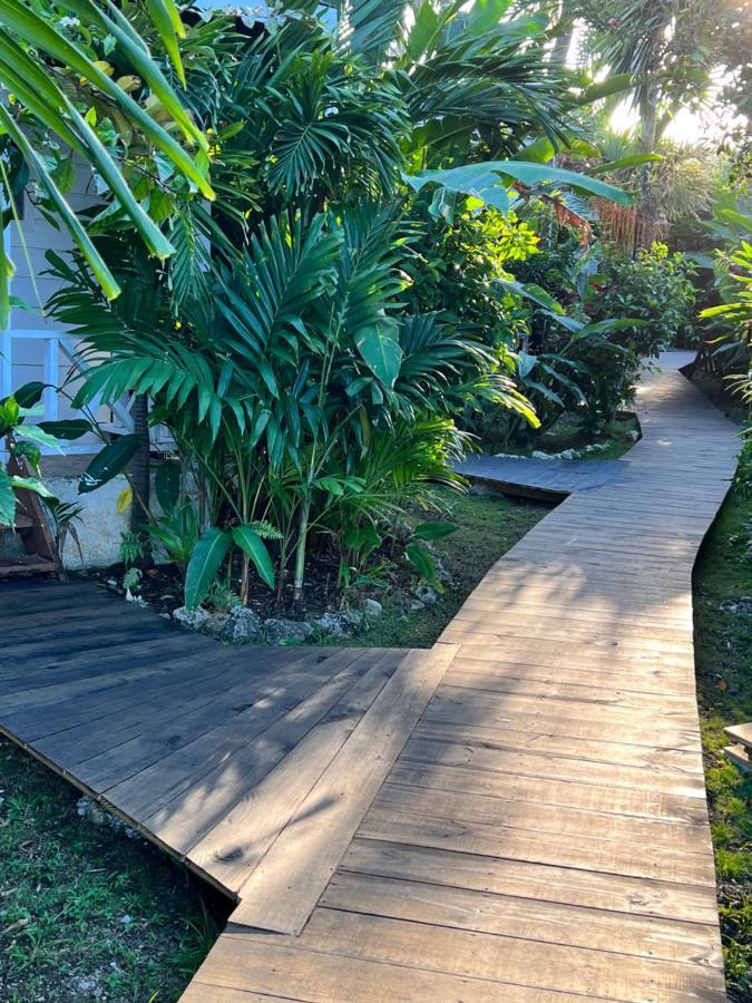 Jamaica Colors Hotel And Eco-Retreat Port Antonio Ngoại thất bức ảnh
