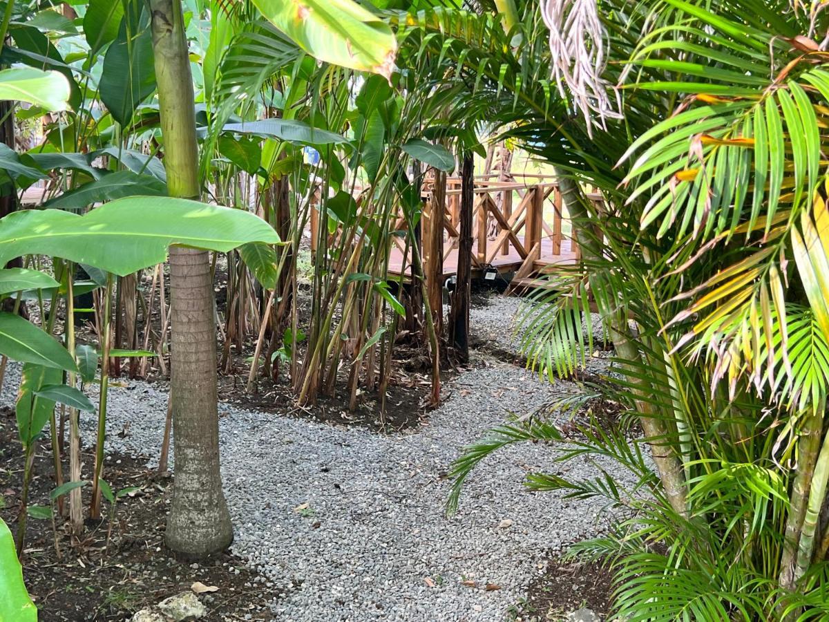 Jamaica Colors Hotel And Eco-Retreat Port Antonio Ngoại thất bức ảnh