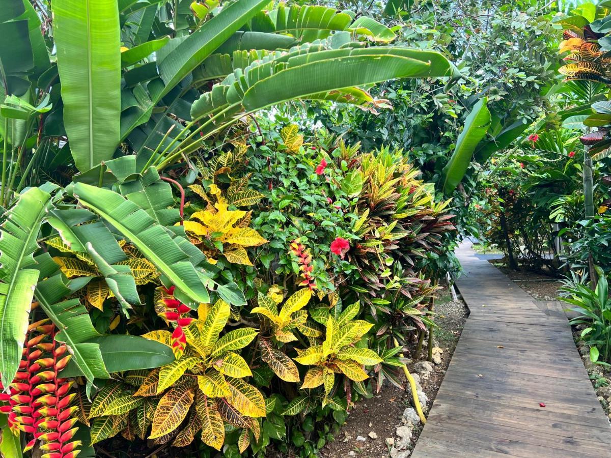 Jamaica Colors Hotel And Eco-Retreat Port Antonio Ngoại thất bức ảnh