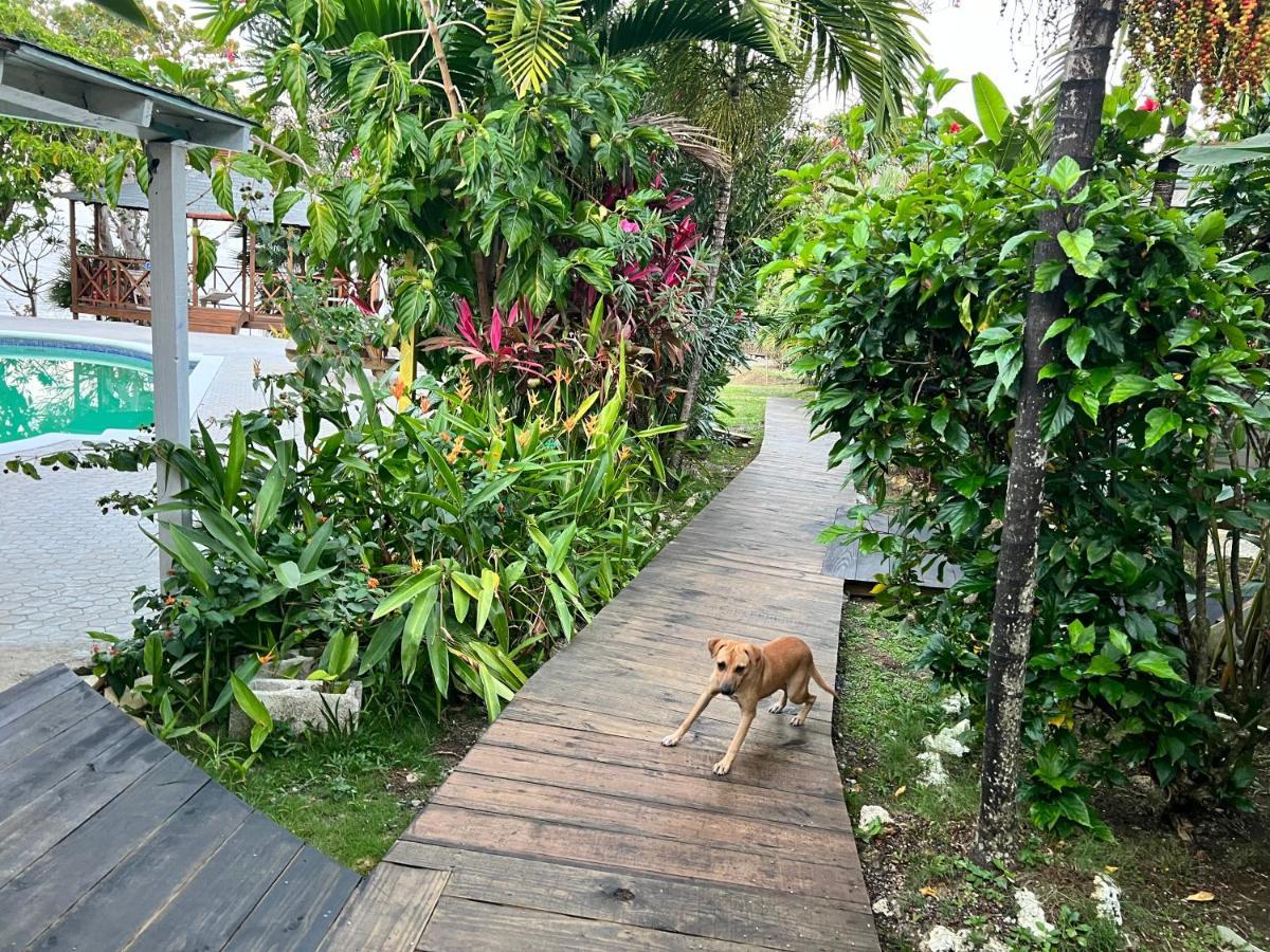 Jamaica Colors Hotel And Eco-Retreat Port Antonio Ngoại thất bức ảnh