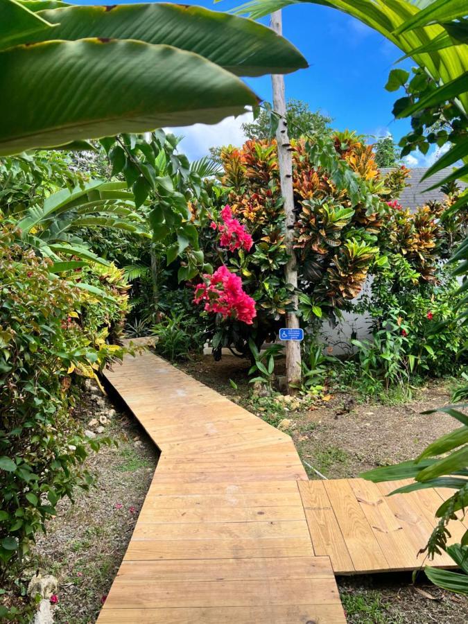 Jamaica Colors Hotel And Eco-Retreat Port Antonio Ngoại thất bức ảnh