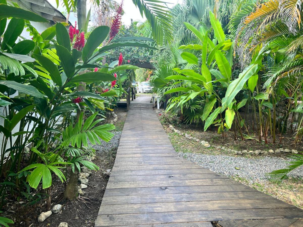 Jamaica Colors Hotel And Eco-Retreat Port Antonio Ngoại thất bức ảnh