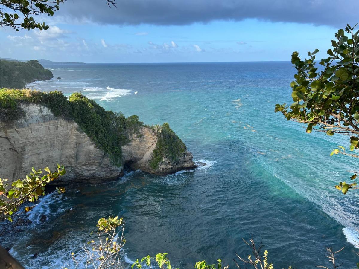 Jamaica Colors Hotel And Eco-Retreat Port Antonio Ngoại thất bức ảnh