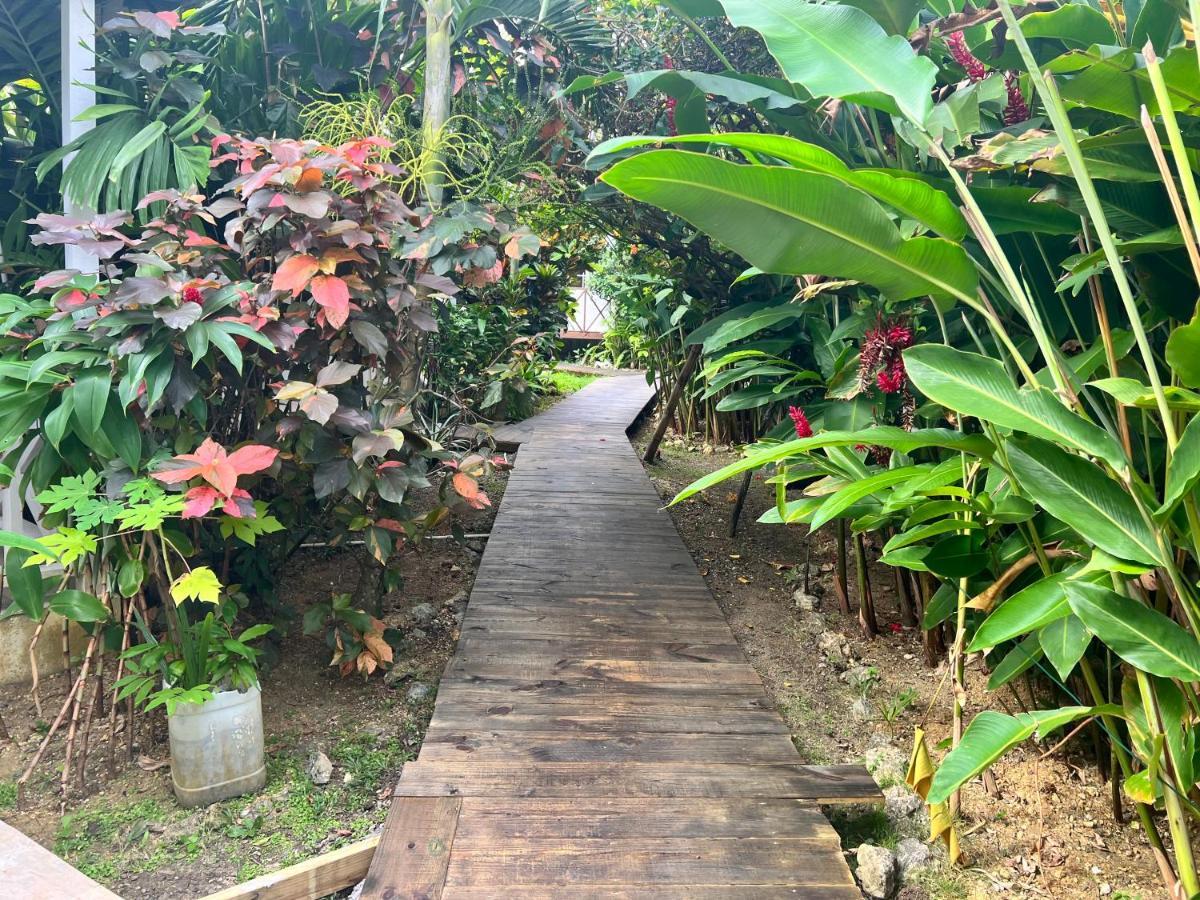 Jamaica Colors Hotel And Eco-Retreat Port Antonio Ngoại thất bức ảnh