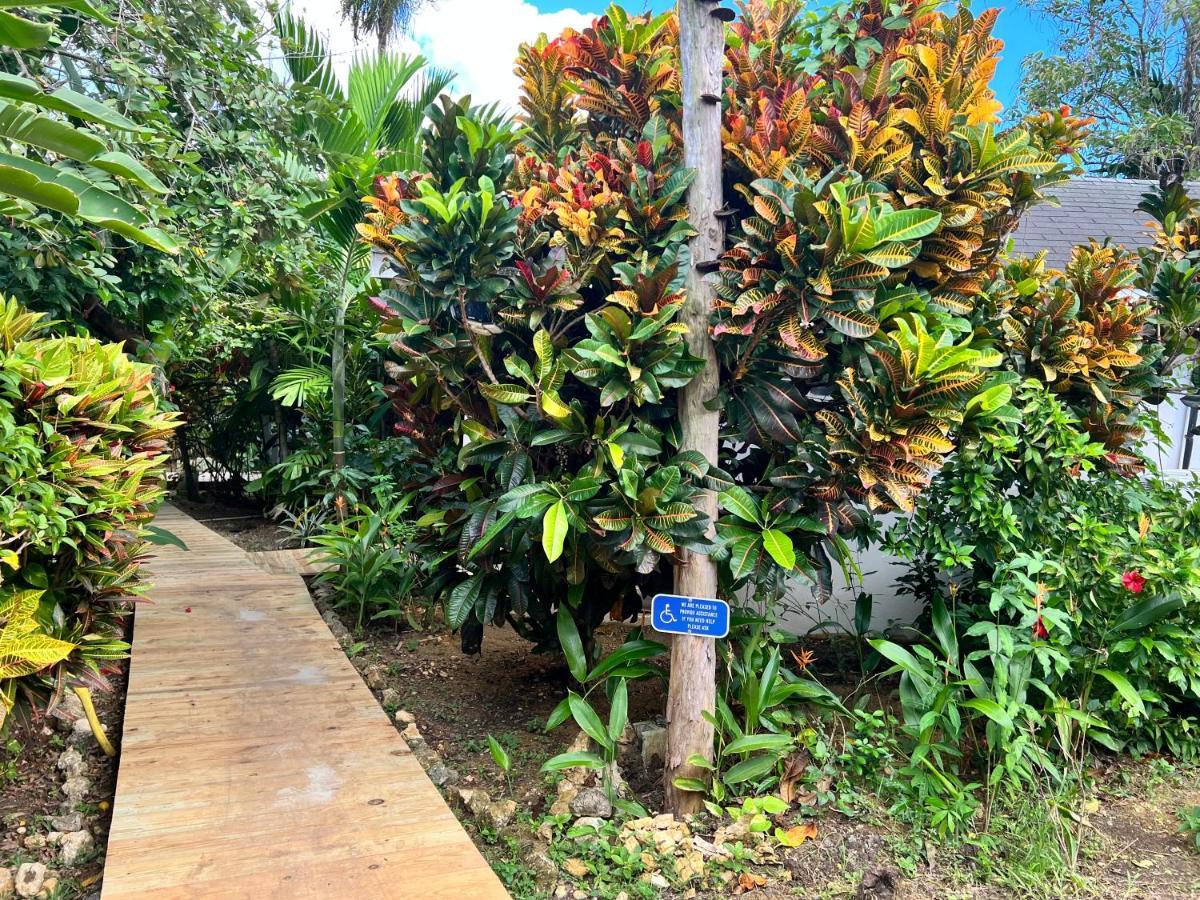 Jamaica Colors Hotel And Eco-Retreat Port Antonio Ngoại thất bức ảnh